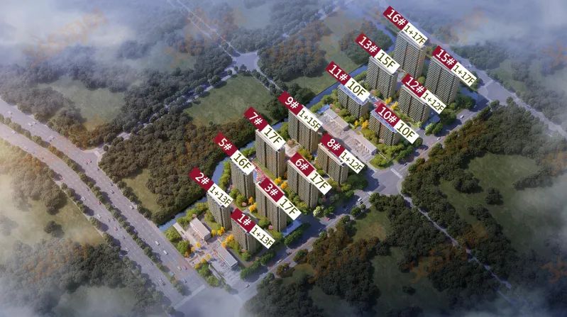 芜湖城市之光最新房价与探索自然美景的双重体验之旅